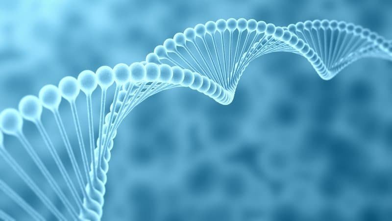 علم الوراثة والهندسة الحيوية